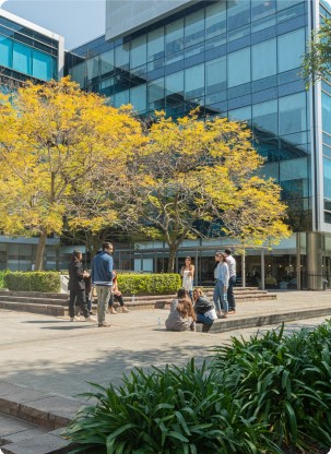 Imagen arboles y edificio